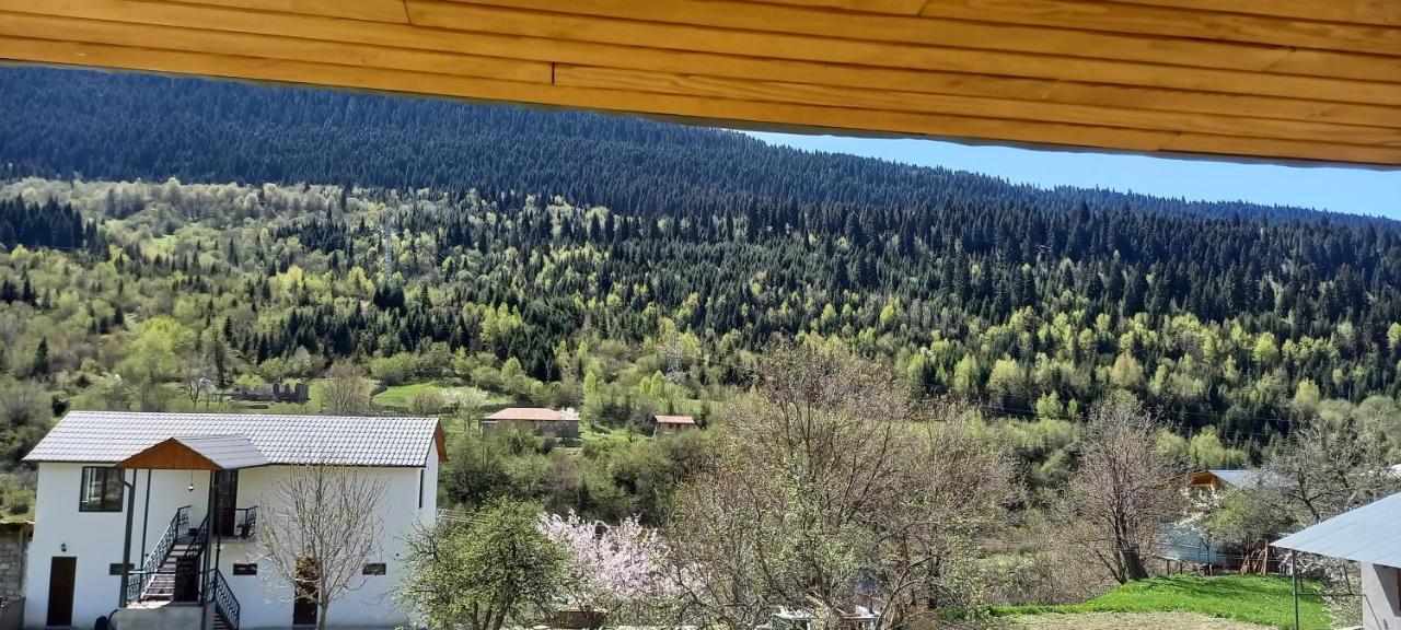 Hotel Lisaneli Mestia Zewnętrze zdjęcie