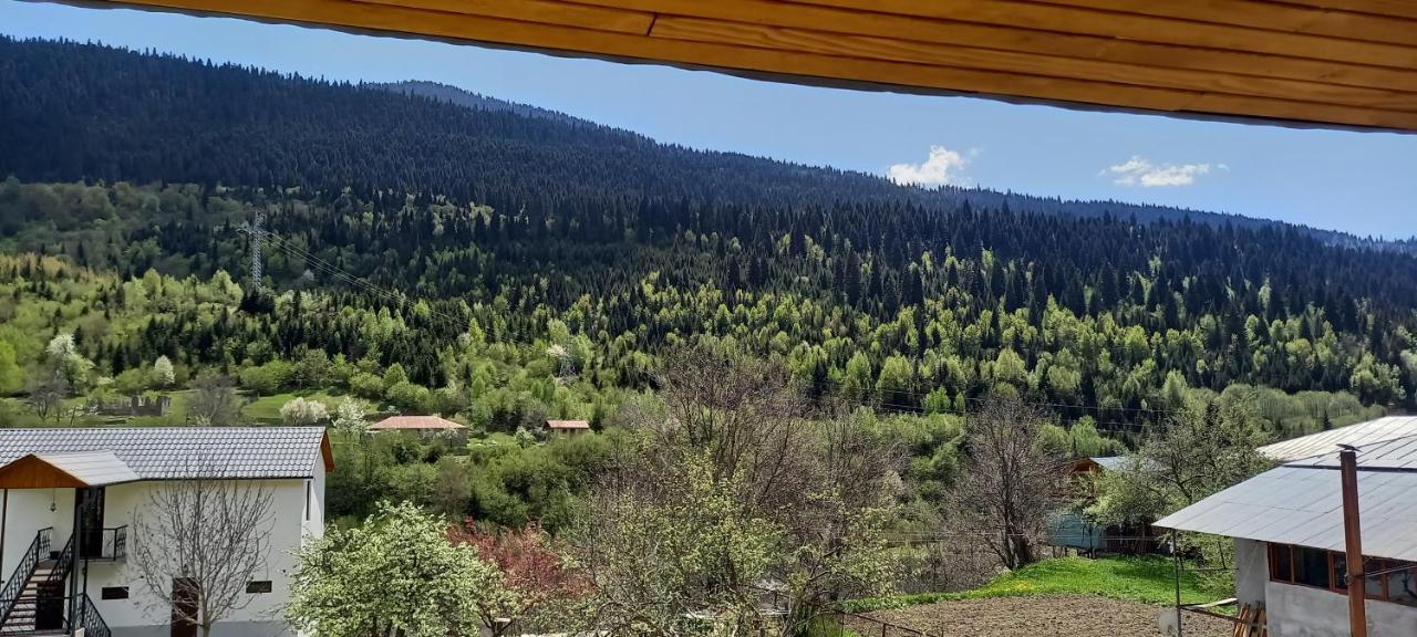 Hotel Lisaneli Mestia Zewnętrze zdjęcie